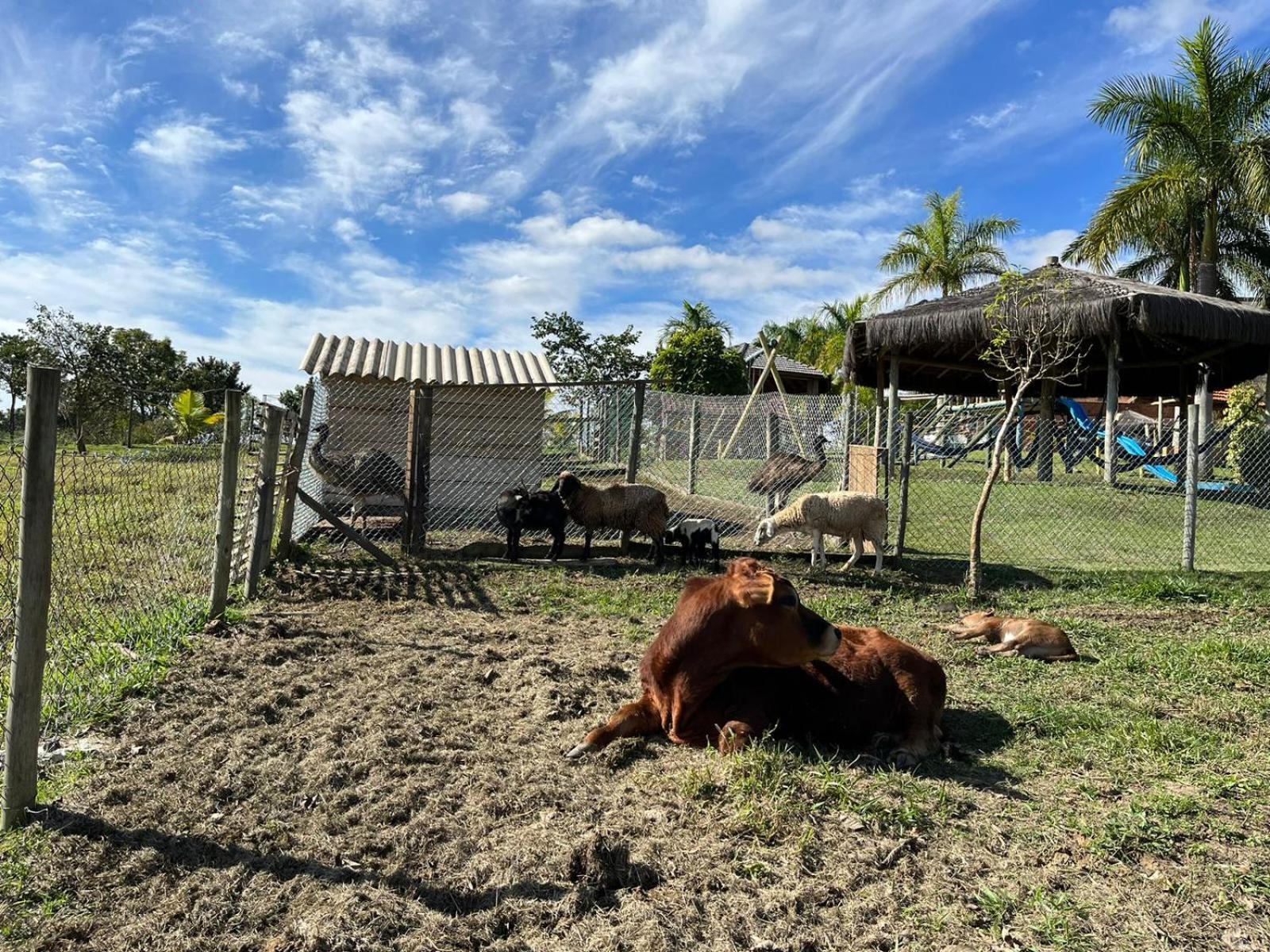 酒店 La Palma Fazenda