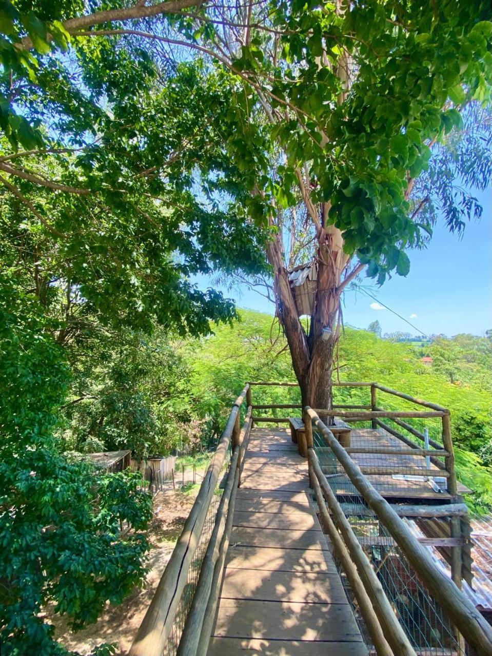 酒店 La Palma Fazenda